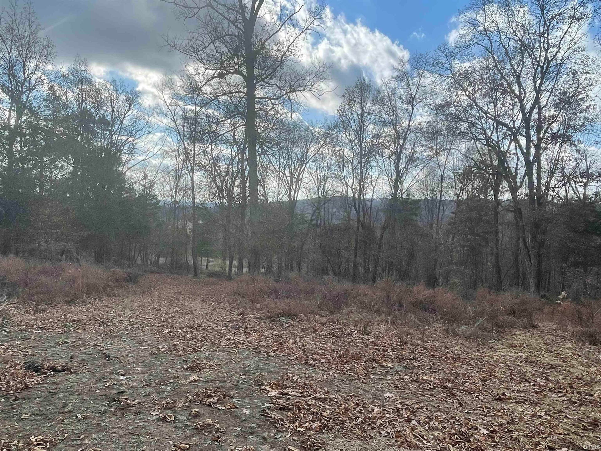 Sold TBD Old School House Lane, Bedford, IN 47421 78.15 Acres