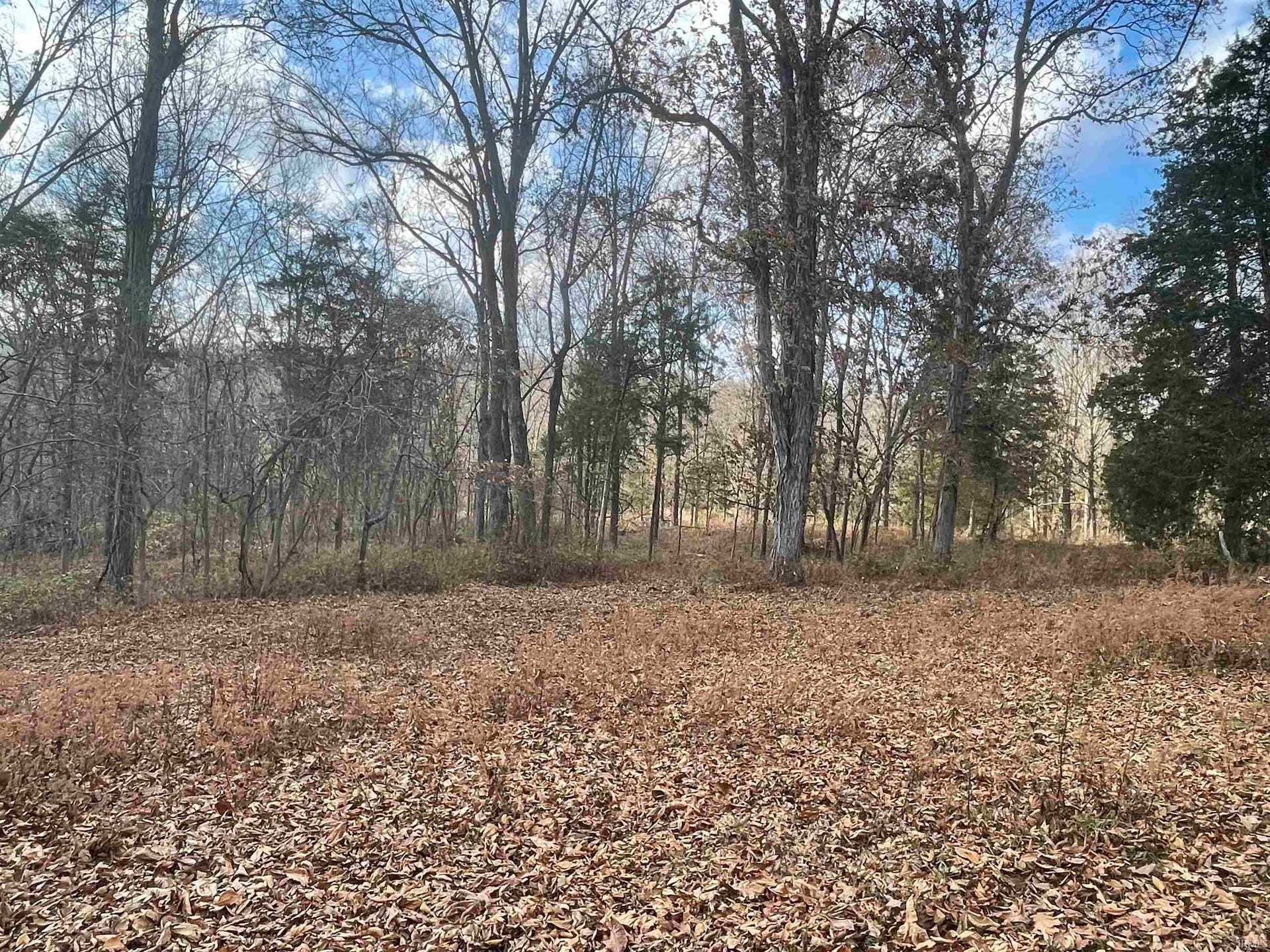 Sold TBD Old School House Lane, Bedford, IN 47421 78.15 Acres