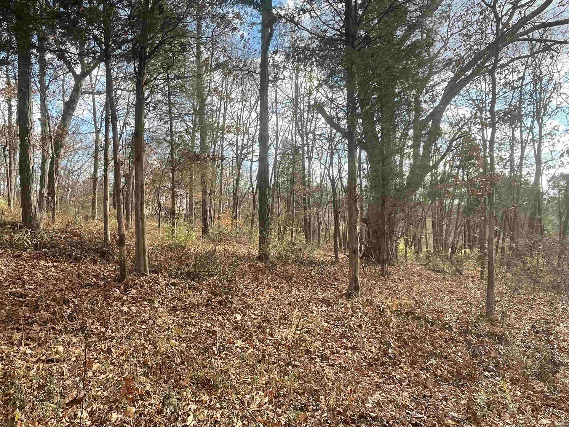 Sold TBD Old School House Lane, Bedford, IN 47421 78.15 Acres