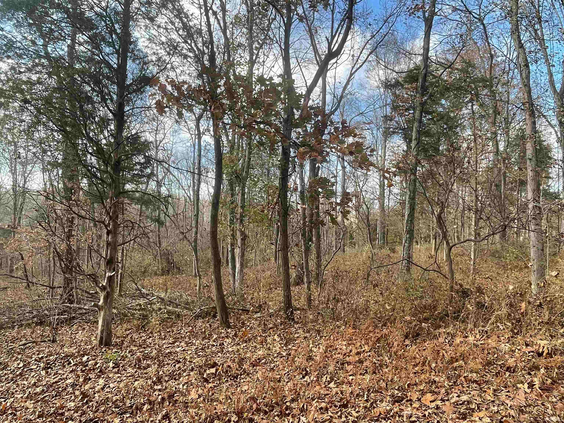 Sold TBD Old School House Lane, Bedford, IN 47421 78.15 Acres